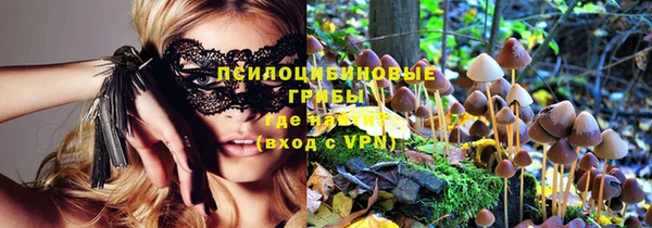 ПСИЛОЦИБИНОВЫЕ ГРИБЫ Нягань
