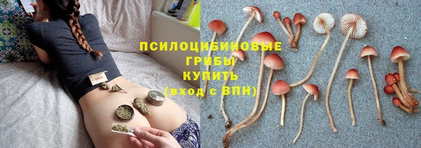 ПСИЛОЦИБИНОВЫЕ ГРИБЫ Нязепетровск