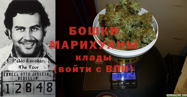 ПСИЛОЦИБИНОВЫЕ ГРИБЫ Нязепетровск
