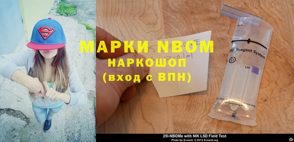 мдпв Няндома