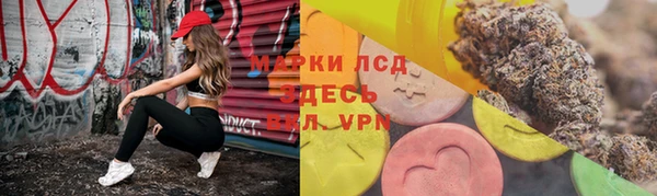 мдпв Няндома