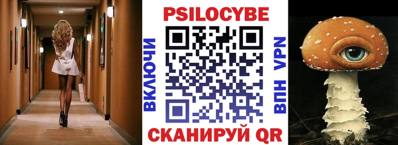 нарко площадка какой сайт купить Сасово Галлюциногенные грибы Psilocybe